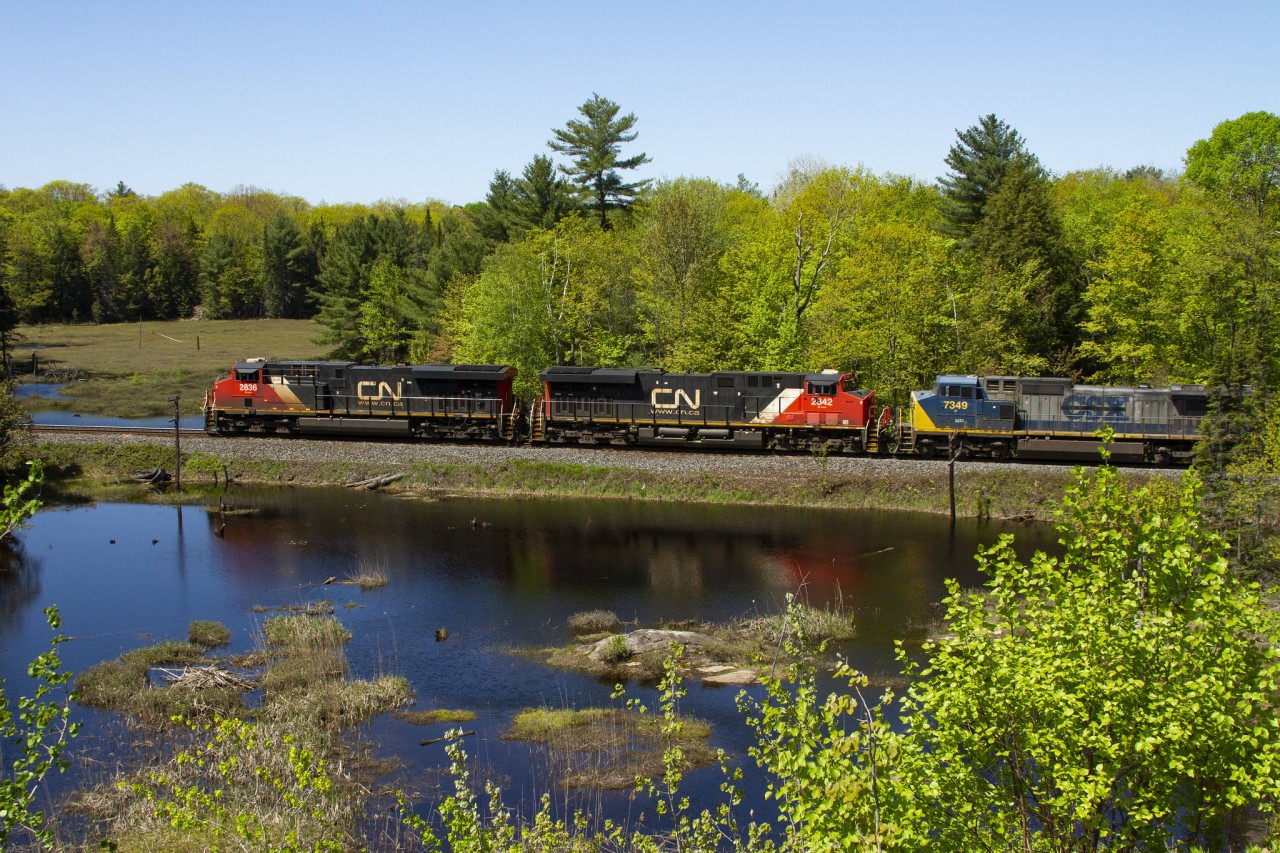 A Canadian National manifest races it's reflection as it heads towards Toronto on a bright, colorful afternoon.
