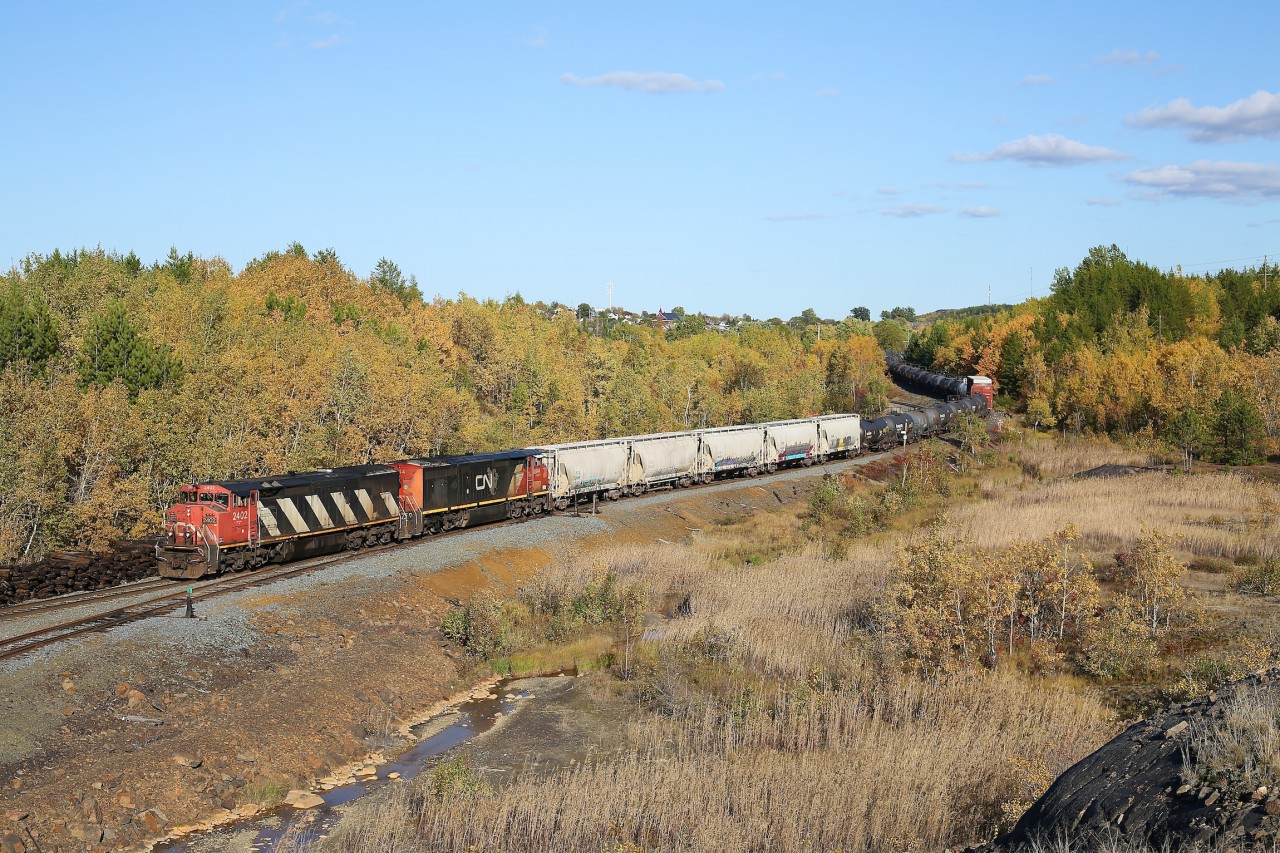 A couple of cowl units (2402 & 2444) have reached the end of the Sudbury Spur and are have just passed over the switch that connects to CP's Nickel Spur.  The train will continue to pull ahead so that they clear the switch and the power will then uncouple from the train.  All the cars from 598 will either be left here for Vale or interchanged with CP.