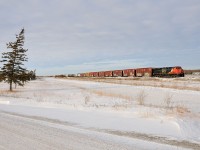 The wind swept pine. Try as it might to grow straight the wind would not let it. Similarly, the wind that prevented this tree from growing straight has in it's grips eastbound freight M344 as the lengthy and tonnage stricken train struggles to gain speed as it departs Winnipeg's Symington Yard.