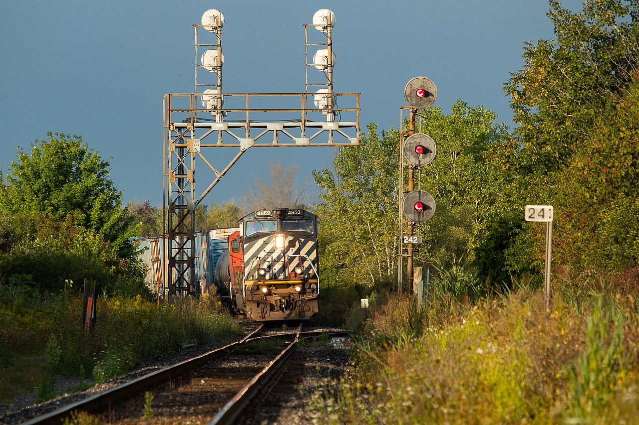 It was a race of three things: the sun getting high enough in the sky to get above the trees and illuminate the lead unit, a question of if the crew would get there before that, and the clouds rolling in pretty fast and thick from the west. Fortunately, things timed well and the variables aligned for a shot. An SD40-2W had trailed on 330 the night before so we came down to Port Rob early the next day on the slim chance that it would lead 331 out in the morning and this presenting really the only spot to get proper light on the lead of 331 until it's well into its journey. Unfortunately, it trailed in third on 422, but the BCOL unit was a decent consolation prize.