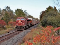 Having waited all day for any train, CP 147 with CP 8828 and BNSF 8079 for power, ran 4th in a string of trains with in 90 minutes. The fall colours are in full force at this location which has always been a favorite of many a rail fan. 
