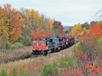 The fall colours are in full force in our area and this location at the Scotch Block is definitely a good one. Here, CN 5675 with IC 2462 and CN 2162 provide the power to climb the grade up to Mile 30 on the Halton sub on their way to a meet with  CN 435 at Stewarttown. The "blue devil" adds a little colour to the scene.
