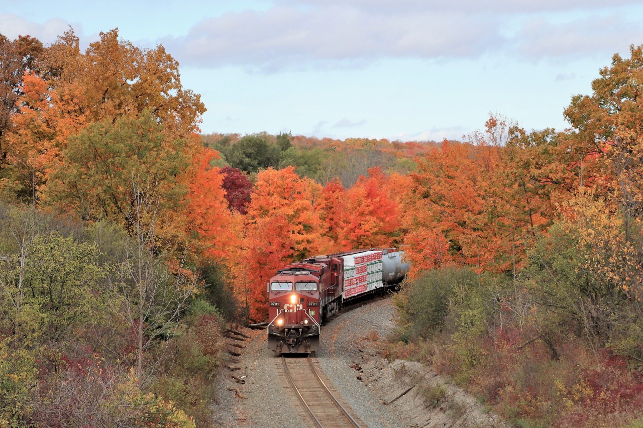 I drove by this location many times but a few days before as I went by, I noticed the fall leaves were in full force with bright reds and orange so I made a plan to catch CP 246 and CP 254 here on Thursday. Here, CP 246 lead by CP 9701 glides down the hill approaching Plains Road where it will go under it and Highway 6 on its way for work at Kinnear Yard in Hamilton.