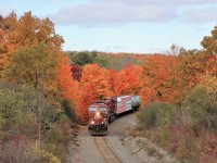 I drove by this location many times but a few days before as I went by, I noticed the fall leaves were in full force with bright reds and orange so I made a plan to catch CP 246 and CP 254 here on Thursday. Here, CP 246 lead by CP 9701 glides down the hill approaching Plains Road where it will go under it and Highway 6 on its way for work at Kinnear Yard in Hamilton.