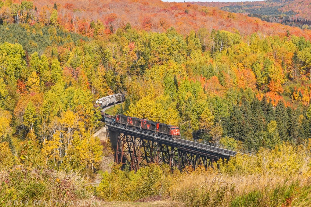 CN 306 crosses the trestle at Saint-Eleuthere, PQ with Fall colors filling the hillside.