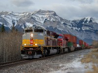 Wearing heritage colours, CP SD70ACU 7015 leads train 100-24 out of The Rockies east of Exshaw, AB.