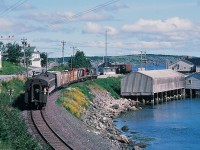 <br>  <br>...A special place ... The Rock...<br>  <br>… watching the dolphins play in the salt water bay....<br>  <br>...and the breezy air is awakened by the rumble of two 567 powered GMD built G-8's...<br>  <br>...at Mile 30 from St. John's......<br>  <br>….Terra Transport mixed #231 to Carbonear<br>  <br> ….powered by GMD built G-8 #805 / #800 <br> <br> ...and sufficient revenue passengers this Saturday to warrant a second open air coach......<br> <br>  ... on a splendid August summer morning in 1982....<br><br> Terra Transport mixed #231, St John's – Carbonear, Tuesday, Thursday, Saturday ( and return same days as train #232)<br>  <br>... Oh!...The Rock ….<br>  <br>… Oh! ….Holyrood....<br><br>August 7, 1982 Kodachrome by S.Danko at  Holyrood , The Rock. <br>  <br>  more Terra Transport...<br><br><a href="http://www.railpictures.ca/?attachment_id= 6608">  at Port aux Basques </a><br><br>sdfourty