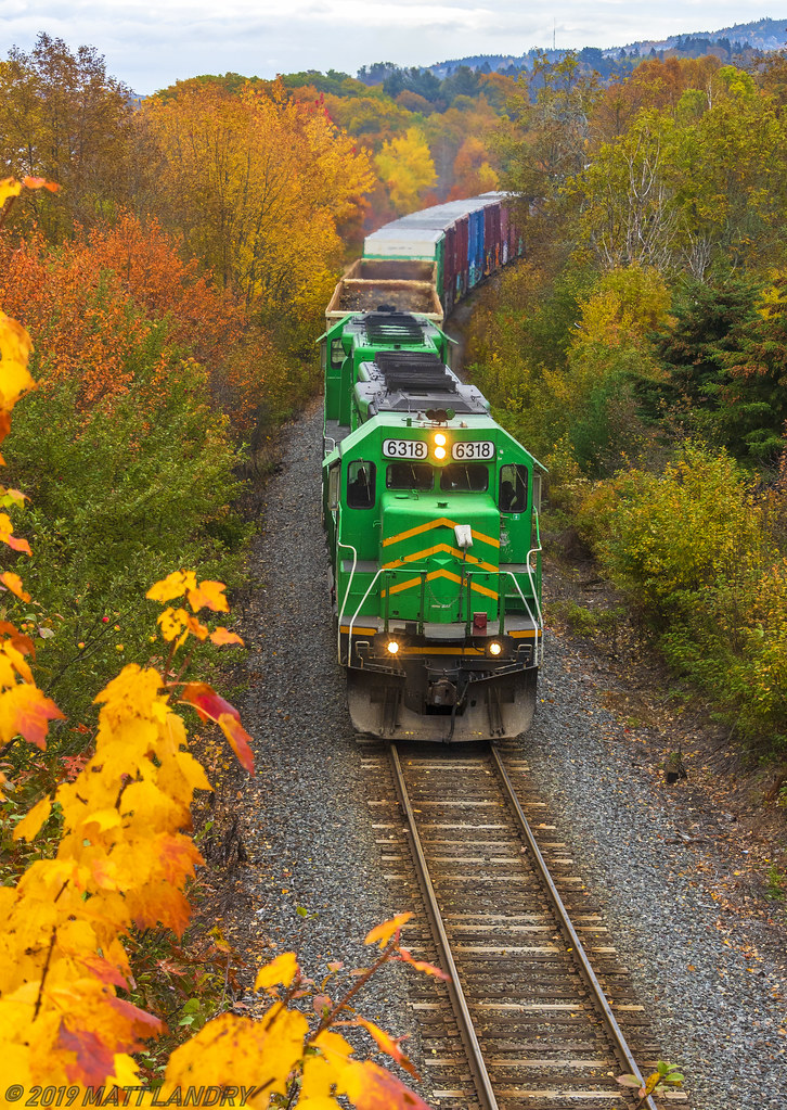 During a colorful Thanksgiving Monday, train 907 rumbles by Westfield Beach, New Brunswick.