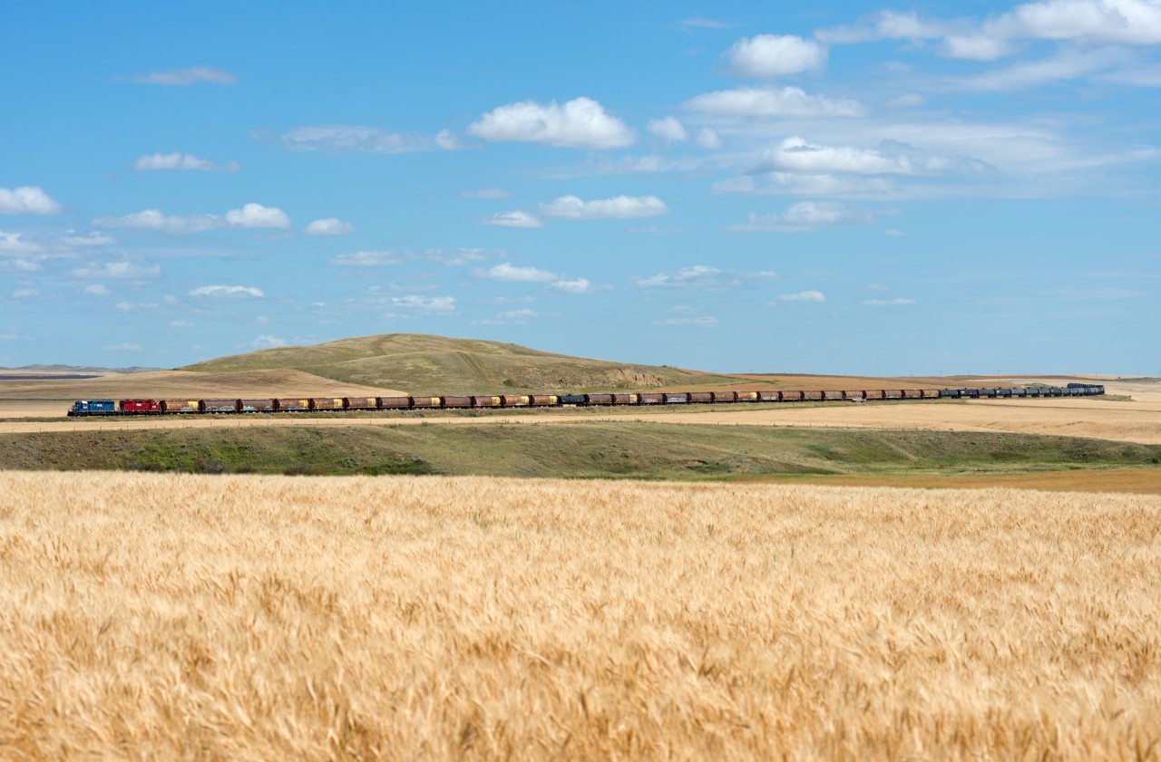 The Great Sandhills Railway is seen in its namesake territory just outside of Cabri Saskatchewan on the former CP Empress Subdivision.
