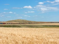 The Great Sandhills Railway is seen in its namesake territory just outside of Cabri Saskatchewan on the former CP Empress Subdivision. 