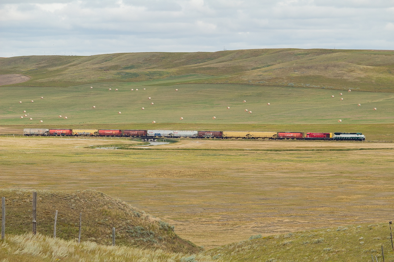 GWRS 576 leads train 812 east with 11 empties to be spotted at Superior Pulses in Verwood. I was out railfanning on this day with a local, who able to guide me to some incredible vantage points, such as this one, that I likely wouldn't have found on my own. This trackage is that of the Red Coat Road and Rail, and is operated by Great Western Railway.