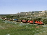 Heading home to Shaunavon after picking up grain from Val Marie via Consul, the Shaunavon "tramp" passes the Ravenscrag Butte in the Frenchman Valley between Ravenscrag and Eastend Sask.