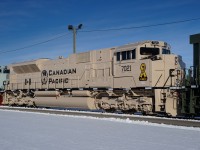 Roster shot of CP 7021 wearing the Army Arid Regions scheme.