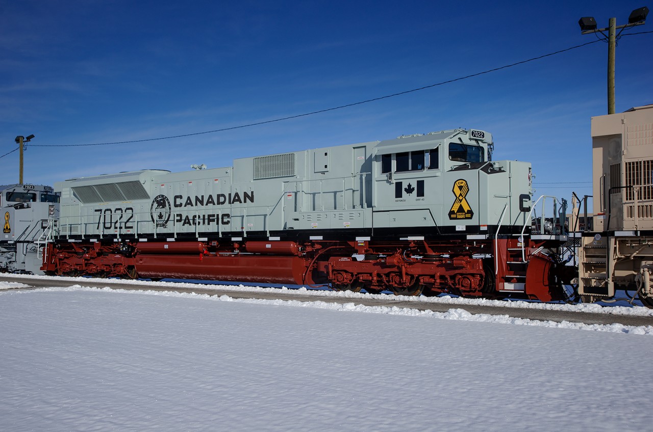 Roster shot of CP 7022 wearing the Navy scheme.