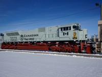 Roster shot of CP 7022 wearing the Navy scheme.
