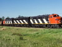 Every few days, for 2 to 3 years, first thing in the morning, a train of empty sulphur hoppers would roll through Redwater. On this day, I could not believe my eyes when looking out the back window of the house after hearing the horn blowing. Its grab the camera, jump in the chase car and off to Egremont. Blue sky and sun, not too late in the morning either so there still is some light on the nose as the units head north. Leading up the 48 empty hoppers was the 9171, 9190 and 9167, with caboose 79286 bringing up the rear. This photo taken a couple of miles north of Egremont at 8:00. As was typical for these trains, they returned the next day around suppertime.