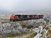 Fog and frost inundates Grandview Flats on this day as CN 2555 leads a southbound load of empties towards Armstrong.