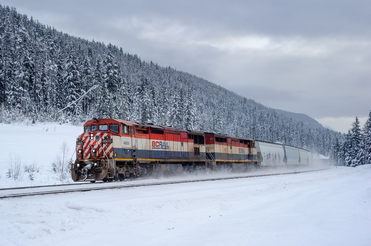 With most of the BCOL C40-8M fleet going into storage over the past couple of months, I certainly didn’t think I’d see a pair of these again. Nevertheless, here’s Edmonton to Vancouver train M31151 13 just west of Grant Brook, BC on CN’s Albreda Sub with BCOL 4605 and BCOL 4622.
The fleet was down to about 3 or 4 units left operational, but as of today there are now 14 out and about on the Canadian mainlines again. None of them are operating in the US currently.