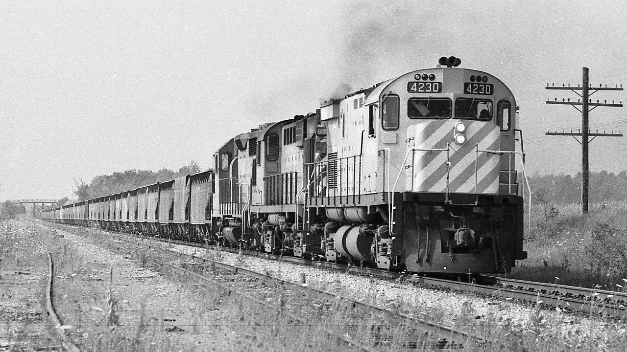 No white flags today, this is a  regularly scheduled train.


The Uhthoff Turn with the Stone Train powered by  CP Rail 4230 / 8795  /  5005


    MLW C424  /   MLW RS18  /  GMD GP-35   power mix  +


 Circa  1965 / 1958 / 1963


 July 1, 1978 near Palgrave (  ?  * ) Kodak Tri X negative by S. Danko


  *  can anyone help with the location ?


 what 's interesting


  ... no six axle power here...this is WAY before CP owned a GE.....( that was 'foreign' power)....


  CP Rail #4230 sold to NBEC about 1995  /   #8735 rebuilt 1985 to #1833 retired by 1998  /  #5005 sold to Helm Leasing 1998 then resold to RaiLink


  + what ever power showed up at Agincourt......even the regular TTE,  The Empress RSD18 #8921,  found its way to Uhthoff from time to time


  the regular TTE power ( Toronto Transfer Engine ) RSD-17 sometimes got teamed up with interesting power: 


   G5a / RSD -17   


 following  C-424 #4230:


   At Alliston   


  at Parry Sound 


   at Hamilton   


  at Niagara Falls   


sdfourty