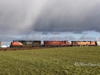 A rare appearance by one of Norfolk Southern's Heritage units in Southwestern Ontario. NS 8104 is the trailing unit on train 397 as it waits at Camlachie Sideroad waiting for clearance into Sarnia, ON., and over to Port Huron, MI.