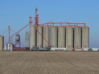 With Glencoe Grain and Seed standing as a tall backdrop, CP 141 is seen cruising through the frozen farm fields of Middlesex County on its way Westward towards Chatham. 