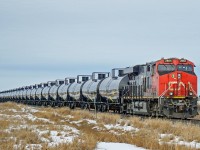A train of brand new oil tanks, no placards and shinny clean, approaches Lamont on CN's Vegreville subdivision.