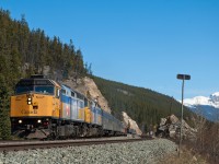 VIA Rail's "Canadian" makes its way the west side of Jasper National Park on a beautiful first day of May. 