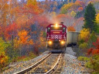 The last engine on NBSR's SD40 roster not to be repainted yet, NBSR 6315 leads westbound train 907, as they rumble through the Fall colors, approaching Nerepis, New Brunswick.
