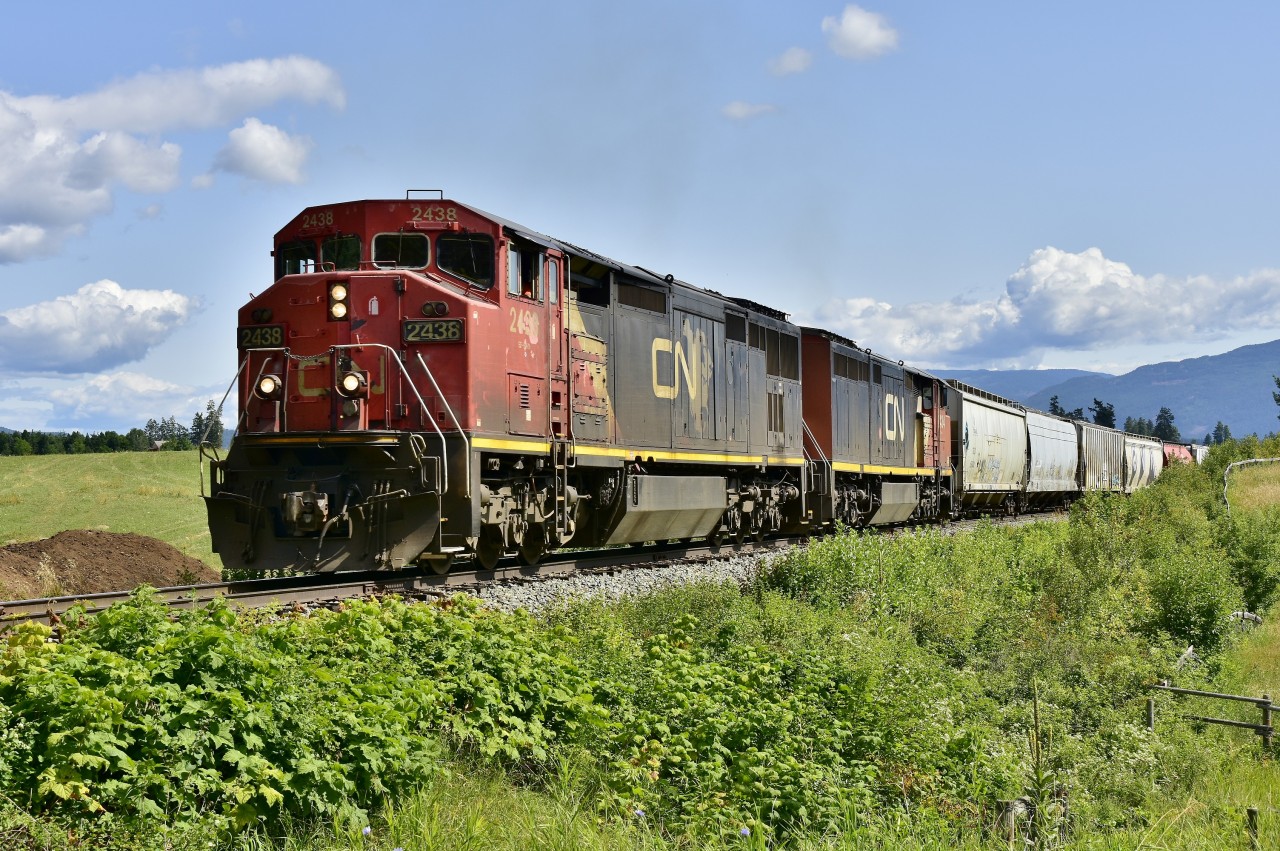 It is unusual to see a pair of cowls in the Okanagan. On this day CN nos.2438 & 2434 are climbing out of Armstrong in charge of a mixed freight and are headed north to Kamloops.
