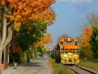 Engr. Snook has his train steady on the slow order through Kent St and 3393 is framed in matching fall oranges and yellows. Every year the colours differ but in 2016 they matched exactly with the G&W scheme - with great colour all over town I had a lot of fun finding photo angles to try. This one really spoke to me but I knew I needed orange in the lead and the window of foliage opportunity is about a week. Furthermore, it usually did not take long for 3054 to get put in the lead so I had to strike while the iron was hot. It was cloudy all day - but just as the train rounded the bend at Guelph Station the sun came out and made those fall oranges and yellows pop brilliantly - making my day. Heck this is probably one of my favorite fall colour photos to date.