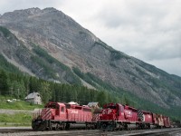 Two CP trains are waiting in Field Yard for the track ahead to clear so they can continue east.<br>
The steep grades of the Big Hill lie ahead of them, eased to a manageable 2+ % by the spiral tunnels.<br><br>
In 1993 CP mainline freight trains were predominantly powered by SD40-2's; their first GE's would arrive in 1995.<br>
CP 5878 wears then-new CP Rail System two-flags scheme, while its trailing unit CP 6069 is in action red with the multimark. CP 6069's windows were painted red, a B-unit not intended for occupancy. First car is Angus caboose CP 434374.<br> 
The other train is lead by CP 5653 in faded action red (no multimark), second unit CP 5870 looks similar.<br><br>
Mount Stephen is nearby, but I think this south-facing view has Mount Dennis in the background.