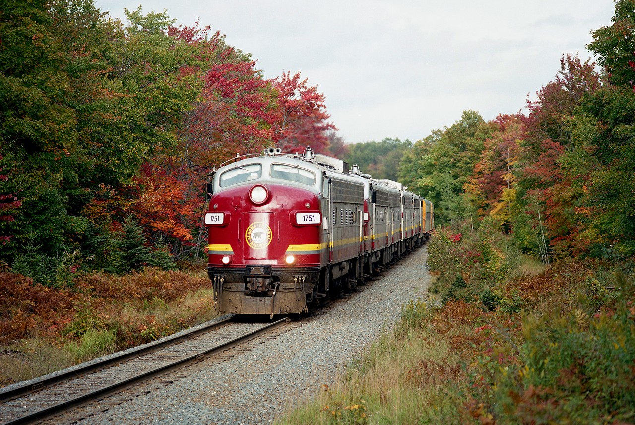 I forget just exactly where, but a hair north of the SOO city I wandered out to get the Agawa Canyon tourist train on its return trip late in the afternoon. But I got caught looking for a suitable place to shoot from along side the line; and had to shoot almost from where I had been walking.  It was a decent shot. Hard to not like five F units on the head end of a train!!!  Here is AC 1751, 1755, 1754, 1750 and 1756.
 All were retired or sold by 2002; bringing the end to some wonderful train watching on the old AC.