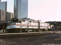 The first inaugural run of the new VIA-Amtrak "Maple Leaf" cross-border train service ran on April 26th 1981 with Amtrak F40PH 344, a baggage and six Amfleet cars. But, the next day on April 27th was a ceremonial run with Amtrak F40PH's 343 & 348, a baggage, 9 (!) Amfleets and a private car on the tail end. Here, the train is shown on Track 12 at Toronto's Union Station at sunrise, with a ceremonial Maple Leaf banner being put up on the lead unit (for photo-ops? another photo of the train taken passing through Hamilton that day shows it removed from the lead unit). Also note the dual US-Canadian flags. The short baggage car behind the lead units is one of Amtrak's conversions from a former US Army ambulance kitchen car build in the 1950's. Amtrak apparently picked up a bunch of these hardly used cars in the mid-70's and converted some into small baggage cars.<br><br>Replacing the old CP/VIA (nee-TH&B) Toronto-Buffalo Budd cars (their final run was April 25th), the joint Maple Leaf continues to run to this day, albeit with Amtrak P42's pulling the Amfleets instead of F40's. <br><br><i>Photographer unknown, Dan Dell'Unto collection slide.</i>