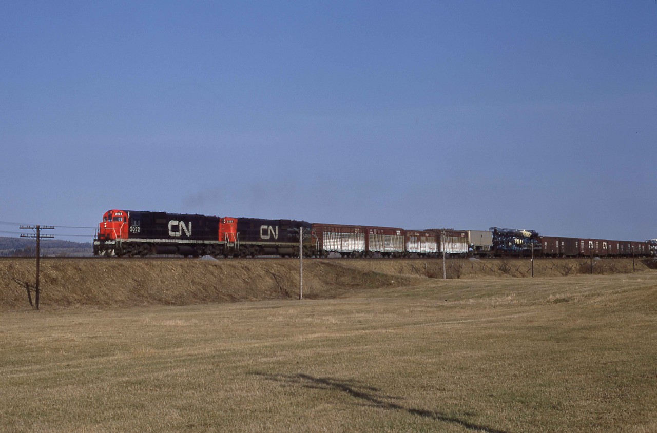 At 9 a.m. on Wednesday, May 1, 1968, CN Train 406 is just east of St. Basil, New Brunswick near Mileage 213 of the Napadogan Subdivision.  The two almost new C-630Ms, 2022 and 2025, are en route to Moncton.  During the night, they had traversed the hill and dale National Transcontinental route from Joffre near Quebec City to Edmundston.  Nearly a decade later, that trip would take them across the Pelletier cut-off that linked the former NTR line directly to the water level route along the St. Lawrence River.  

CN sampled four-axle second-generation power from both MLW and GMDL in the early 1960s in the form of C-424s, GP35s and GP40s.  As with many railways, the translation of high horsepower to effective tractive effort through four traction motors did not prove overly successful.   Hence, following demonstrations of UP C-630s and EMD SD40xs in 1966, CN shifted their orders to exclusively six-axle units between 1967 and 1972.   MLW supplied two sample units, 2000 and 2001, in August 1967 followed almost immediately by an order for 42 additional C-630Ms.  They rode on hi-adhesion trucks newly designed by Dofasco in Hamilton, Ontario, that featured a very short 11' 2" wheelbase.  The MR-30 class units served primarily east of Montreal during their lifetime until CN replaced them on priority trains with GE Dash 8-40CM in the 2400 series beginning in 1990.  As CN retired the units, the Cape Breton and Central Nova Scotia Railway obtained nine of these "Big Alcos," including the 2022, which uniquely became a parts source in Sydney, Nova Scotia.