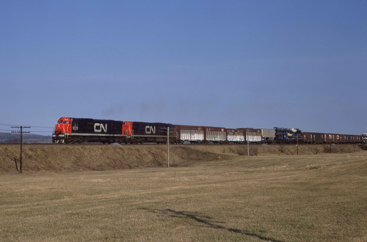 At 9 a.m. on Wednesday, May 1, 1968, CN Train 406 is just east of St. Basil, New Brunswick near Mileage 213 of the Napadogan Subdivision.  The two almost new C-630Ms, 2022 and 2025, are en route to Moncton.  During the night, they had traversed the hill and dale National Transcontinental route from Joffre near Quebec City to Edmundston.  Nearly a decade later, that trip would take them across the Pelletier cut-off that linked the former NTR line directly to the water level route along the St. Lawrence River.  

CN sampled four-axle second-generation power from both MLW and GMDL in the early 1960s in the form of C-424s, GP35s and GP40s.  As with many railways, the translation of high horsepower to effective tractive effort through four traction motors did not prove overly successful.   Hence, following demonstrations of UP C-630s and EMD SD40xs in 1966, CN shifted their orders to exclusively six-axle units between 1967 and 1972.   MLW supplied two sample units, 2000 and 2001, in August 1967 followed almost immediately by an order for 42 additional C-630Ms.  They rode on hi-adhesion trucks newly designed by Dofasco in Hamilton, Ontario, that featured a very short 11' 2" wheelbase.  The MR-30 class units served primarily east of Montreal during their lifetime until CN replaced them on priority trains with GE Dash 8-40CM in the 2400 series beginning in 1990.  As CN retired the units, the Cape Breton and Central Nova Scotia Railway obtained nine of these "Big Alcos," including the 2022, which uniquely became a parts source in Sydney, Nova Scotia.