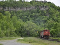 After beating 331 from the cowpath at Bayview to Highway 8 in Dundas, the two SD60F's were giving everything they had at the hill. Its a shame that most, if not all of the trail leading up to the cliff is closed or deemed " trespassing " this is one shot I am glad I have. 