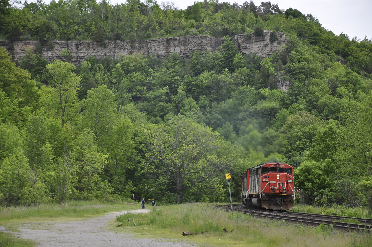 After beating 331 from the cowpath at Bayview to Highway 8 in Dundas, the two SD60F's were giving everything they had at the hill. Its a shame that most, if not all of the trail leading up to the cliff is closed or deemed " trespassing " this is one shot I am glad I have.