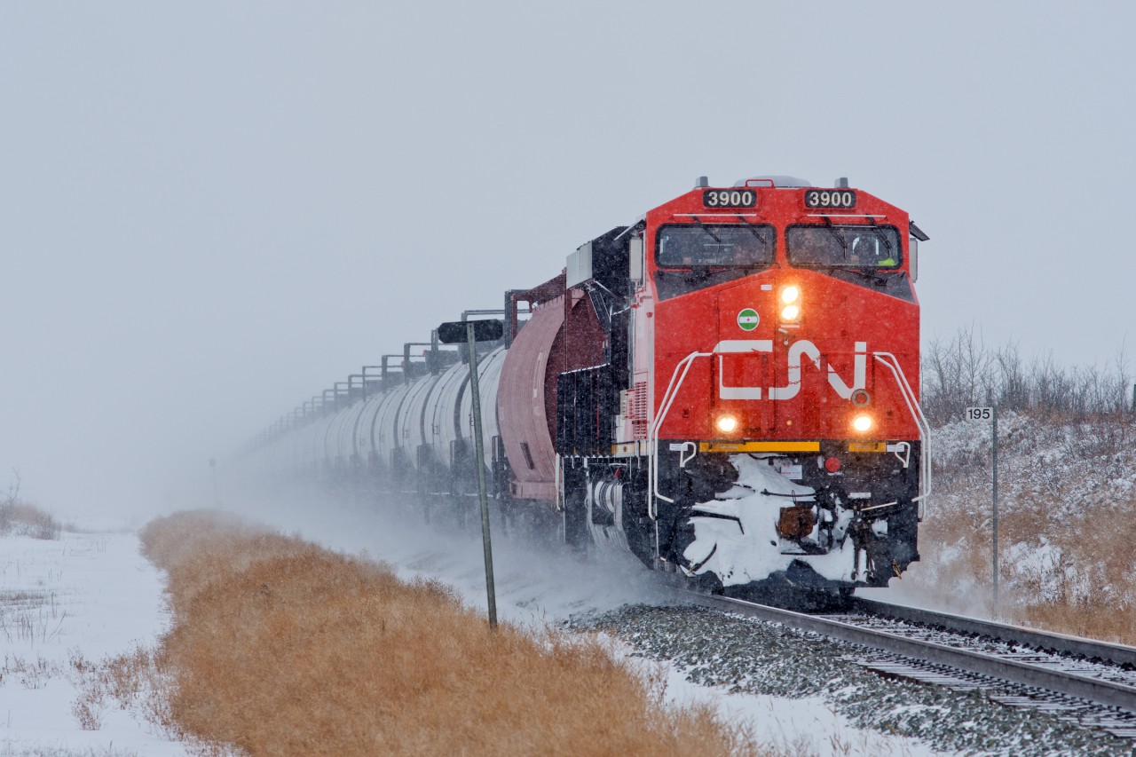 Shiny new CN 3900 kicks up the white stuff between Bruce and Torlea Alberta.