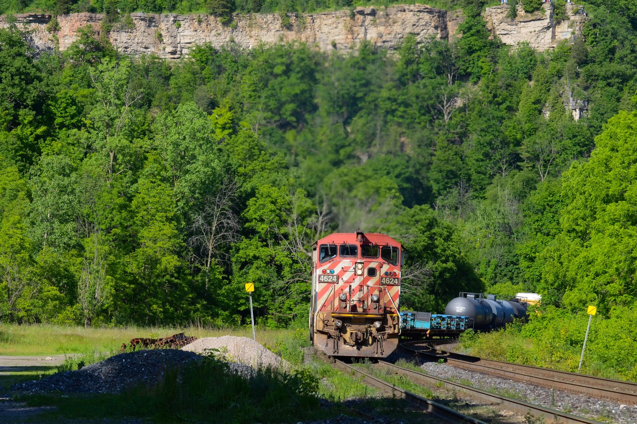 The day of the 2019 annual Bayview meet was rather just a gevo shooting festival until this showed up. After working Aldershot for a little while, the engineer on 435 opens up the throttle on the BC Rail C40-8M for the climb up to Copetown as it passes under the rocky part of the Niagara Escarpment overlooking Dundas Ontario. Batches of CN C40-8’s, C40-8W’s, and C40-8M’s on CN are panning to be sold throughout 2020 so I thought I’d take a trip down my gallery to remember what I captured of these dying breeds. This truly was an awesome day past after 16:00hrs. I also like the vibe of the BC rail under the mountain. Natural habitat? I think so