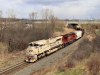 After a tip from a friend about CP 246 having an excellent leader, off I went to start the chase. It started at the Campbellville junction of the Hamilton sub and ended here at Newman Road. CP 7021, all decked out in its sand color scheme to represent the Canadian and US army vehicle paint color, glides out from under the Highway six bridge on its way for a stop at Kinnear Yard. This was a tough chase as the whole train was just over 760 feet long so it maintained good track speed on the way down the hill through Waterdown. 