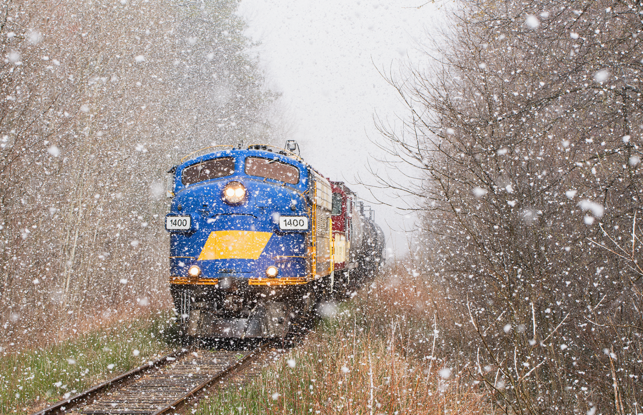 After working the elevator in Courtland for more then likely the final time, OSR's weekly Cayuga job throttles up after flagging the previous crossing due to the age and reliability of the equipment on the line. I had originally intended to do a crossing shot looking down the road. With a very abrupt snow squall dropping gigantic snowflakes I quickly adjusted my position. With the snowflakes blowing in from the North and the sun scooting out from behind the clouds a few minutes before the train showed up, it provided this opportunity for a photo with snow and sun.