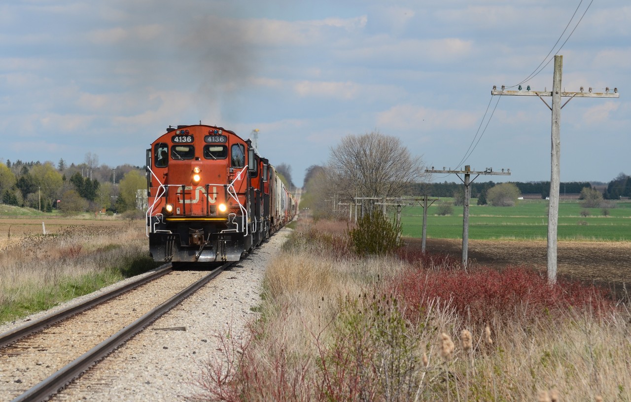 CN 568 is all red today thankfully after weeks of it being a pair of obnoxiously, unpleasant (for me) blue GMTX geeps surrounding 4790. 4136, 4125, 7083, and 4790 are pulling hard taking 568’s tonnage up the dip west of Shakespeare. It was an interesting hand off today, a later 540 arriving at Kitchener just short of 13:00 being replaced by 568’s crew immediately as 540 terminated in Kitchener making the handoff between assignments quick and ideal for getting 568 in good light west of Kitchener.