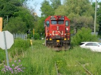 It's doubtful that CN's Fergus Spur will ever seen a weed spraying train. However in this view as bad as the growth is, it would be much worse on the spur here if CN L542 wasn't assigned to it's regular Cambridge outpost. The power for L542, which includes 4726 and GMTX 2274 is viewed spending a quiet afternoon tied down on the Fergus Spur in Cambridge. 
