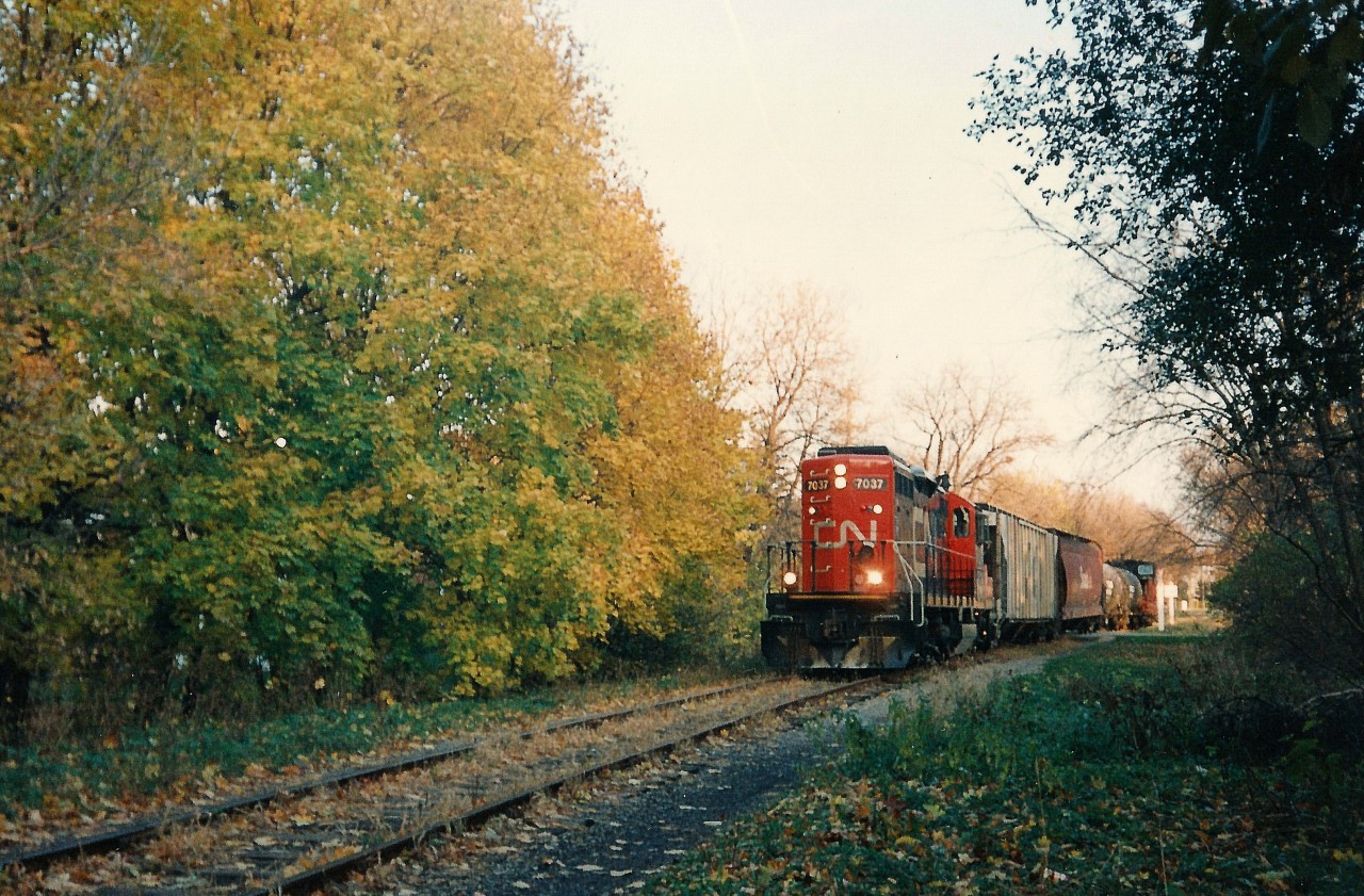 The CN 15:30 Job with GP9RM 7037 is crossing Allen Street in Waterloo as it heads north to Elmira on the Waterloo Spur with four cars and caboose 79883. The fall colors were always vibrant on the trees beside this section of track that was not far from Uptown Waterloo.