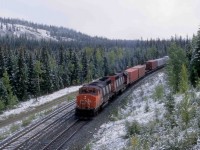 A CN westbound pulls down the Toronto - Vancouver mainline while awaiting an eastbound to pull up the siding at Mileage 190 of the Edson Sub at Entrance Alberta in September 1997.  The train had just passed Hinton and is continuing up the valley of the Athabaska River towards the next division point of Jasper.   Entrance derives its name from the fact that it is an eastern gateway to Jasper National Park in the Canadian Rocky Mountains.  

GP40-2L(W) 9554 (3-1975 #A3189) is one of 268 ordered new from GMDL in London, Ontario, with deliveries of four orders between March 1974 and May 1976.  CN acquired a further ten from GO Train in 1991.  CN's Research Centre developed a Positive Traction Control system that GMDL adopted and introduced as a factory installation on these units.  The new system reduced wheel-slippage, which enabled them to accelerate high-priority, high-speed trains more quickly.   The units traversed the system and became a mainstay on Toronto - Edmonton trains because their lightened and raised frames allowed the installation of 3,000 imperial gallon fuel tanks.  The larger capacity eliminated refuelling between Toronto and Winnipeg.   GMDL installed standard, 2,300-gallon tanks on the final 35-unit order, which are GP40-2s.<br> <br>   

CN's Research developed improvements to the lateral clearance on the centre axles of C-C trucked locomotives beginning in 1975 so that the superior tracking abilities of the GP40-2s became redundant.   Their higher fuel consumption as compared to newer units, led to their early retirement from CN.  Today only 59 of the 278 units remain, mostly in yard and local service. <br> <br>

9554 left the roster in 2000, and it became Yadkin Valley 9554 in North Carolina and later RLHH 3049 in Southern Ontario.   In March 2019, RLHH traded it in on a GP38-2 from Metro East Industries in Fairview Heights, Illinois, a suburb of St. Louis, Missouri.