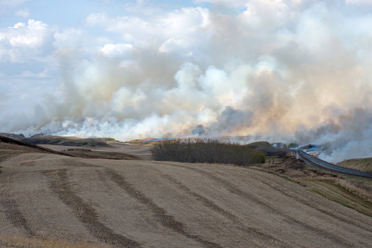 Just seven minutes after CN 576 showed up and five minutes after I called the fire department, the scene at Keppel has changed dramatically!  The fires would spread all the way up to highway 14 and across it, shutting it down due to near zero visibility. At least one house (unoccupied) was consumed by the fires. 576 made it to Lenny before stopping where the crew attempted to extinguish some of the line side fires. It would take two fire departments the next four hours to get the situation under control. The train started dozens of fires between Newton and Lenny, and the 40+ km/h winds didn't help things at all.