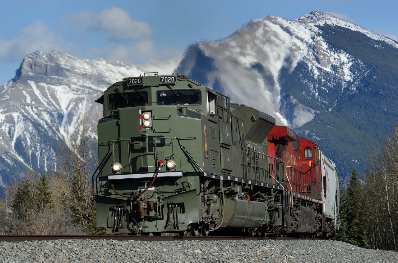 Wearing "Army Temperate Regions" green, CP SD70ACU 7020 leans into a curve just east of Canmore leading 303-608's grain loads west on the Laggan Sub.