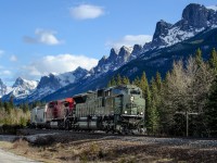 Grain loads begin the slow climb to Banff behind one of CP's military painted units.