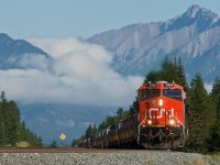 CN 2960 is up front on this 1x1 grain drag just east of English on the Edson Subdivision in Jasper National Park. 
