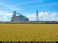 Soon to be "amber waves of grain"..........  CP SD70ACU #6644, in it's camouflage colors applied to Royal Canadian Air Force "Spitfire" fighter planes flown at the Allied invasion of Normandy, France, on June 6, 1944, rolls past the large grain elevator in Haycroft, Ontario on June 25, 2020.  Grain, grain elevators, and trains combined made Canada great, but sadly the railroad no longer services this mill and all product is now shipped by truck which is an all too common reality in this new millenium.